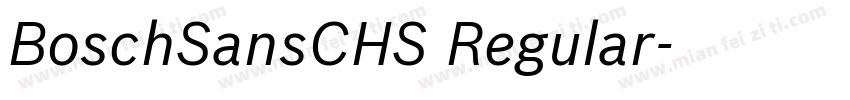 BoschSansCHS Regular字体转换